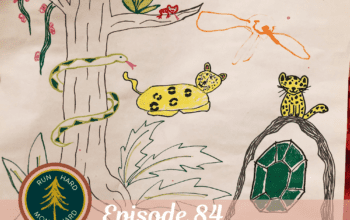 Episode 84 | Kids, Life, Training and Costa Rica with Nikki & Stef